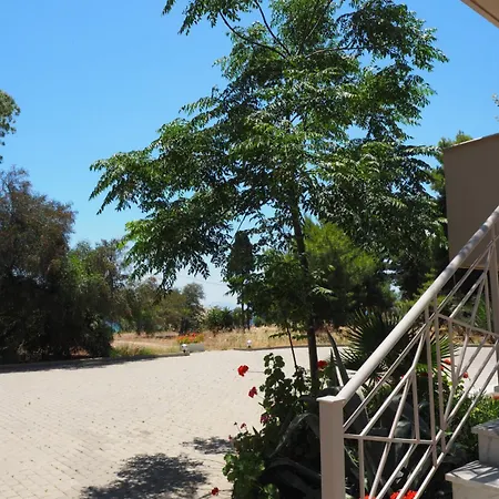 Porto Assini تولو