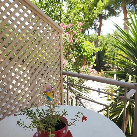 Porto Assini * Tolón