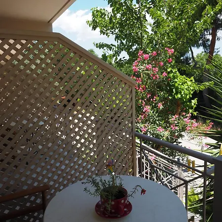 Porto Assini * トロン