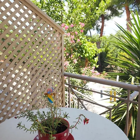 Porto Assini * トロン