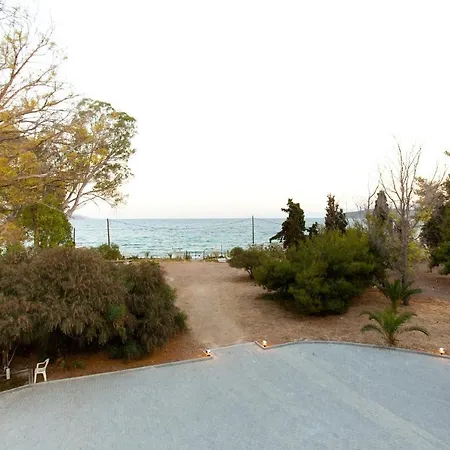 Porto Assini * トロン