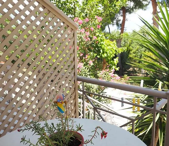 Porto Assini * Tolón