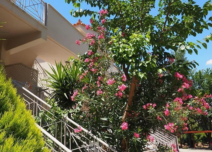 Porto Assini Apartmán Tolón