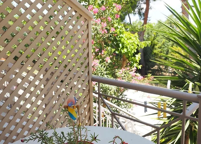 Porto Assini * Tolón